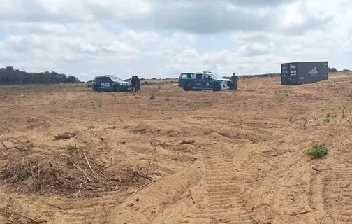 Operação Mata Atlântica em Pé