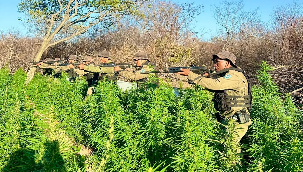 Policiais na ação