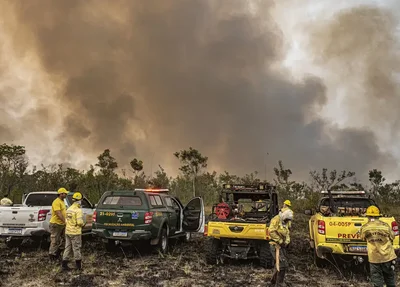 Queimadas em São Paulo causam mais de R$ 2 bilhões de prejuízo