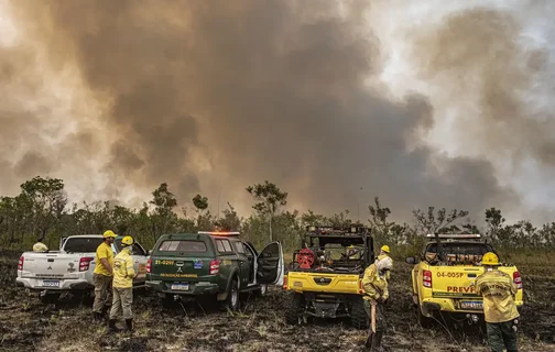 Queimadas em São Paulo causam mais de R$ 2 bilhões de prejuízo