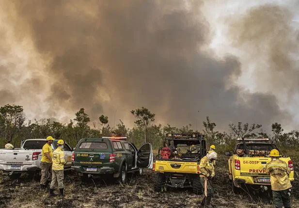 Queimadas em São Paulo causam mais de R$ 2 bilhões de prejuízo