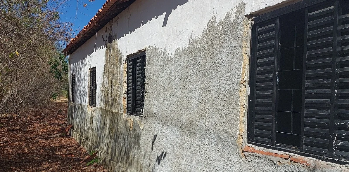 Unidade Escolar Teodoro Antônio da Cruz, Violeto