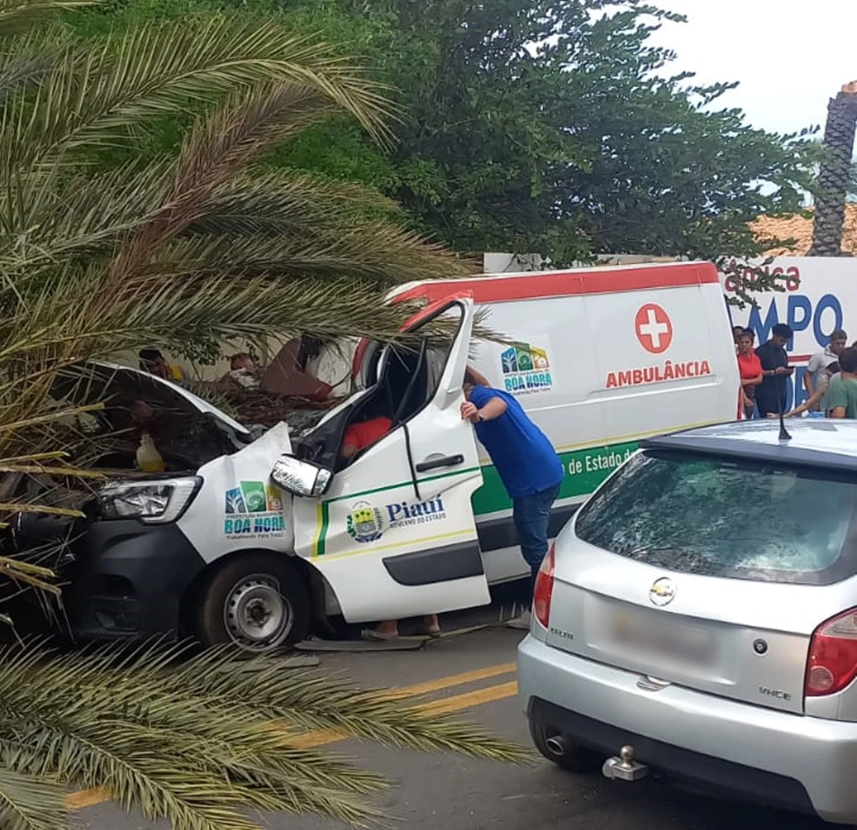 Ambulância é atingida por palmeira na BR 343