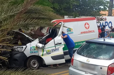 Ambulância é atingida por palmeira na BR 343