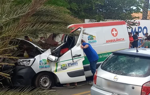 Ambulância é atingida por palmeira na BR 343