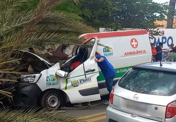 Ambulância é atingida por palmeira na BR 343