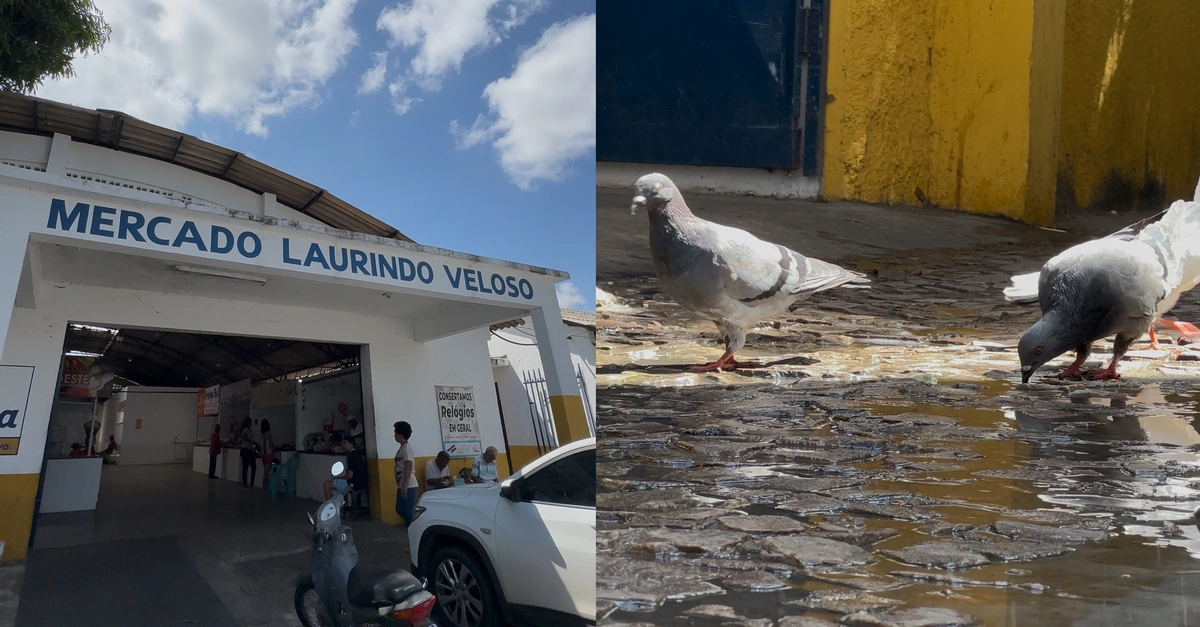 Comerciantes reclamam de mau cheiro no Mercado da Vermelha