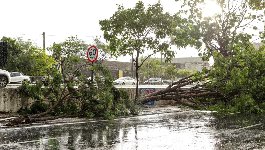 Forte chuva deixou estragos em Teresina