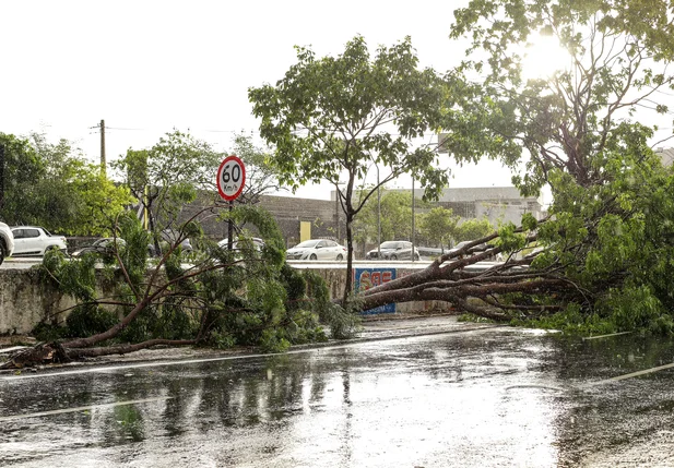 Forte chuva deixou estragos em Teresina