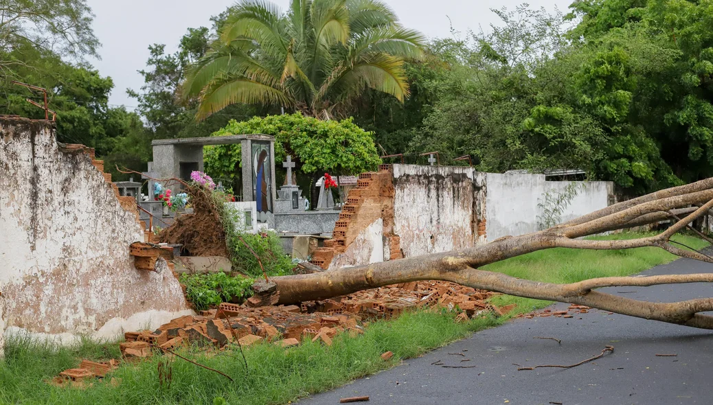 Muro do cemitério foi derrubado pela árvore