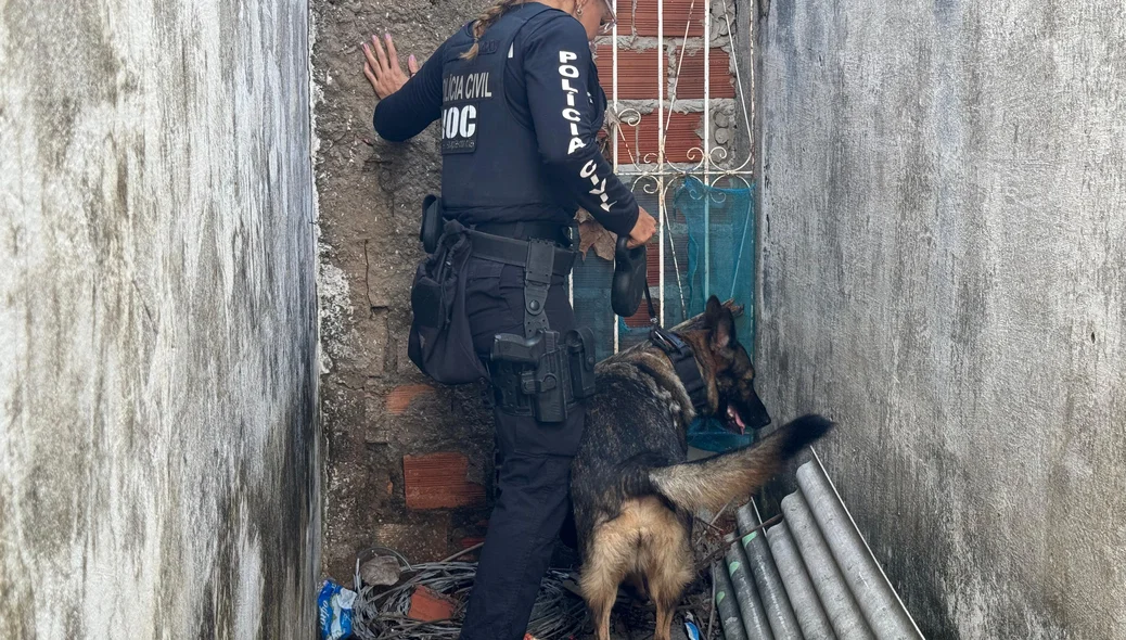 Operação do Denarc no bairro Santo Afonso