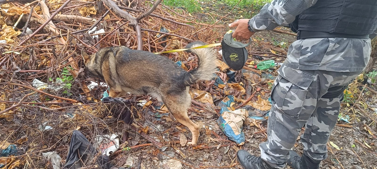 PM prendeu acusado de vender drogas em bar