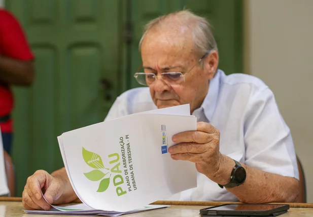 Prefeito Sílvio Mendes apresenta plano de arborização