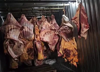 Quatro foram presos por venderem carne para ração animal maquiada e embalada para consumo humano.