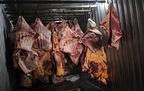 Quatro foram presos por venderem carne para ração animal maquiada e embalada para consumo humano.