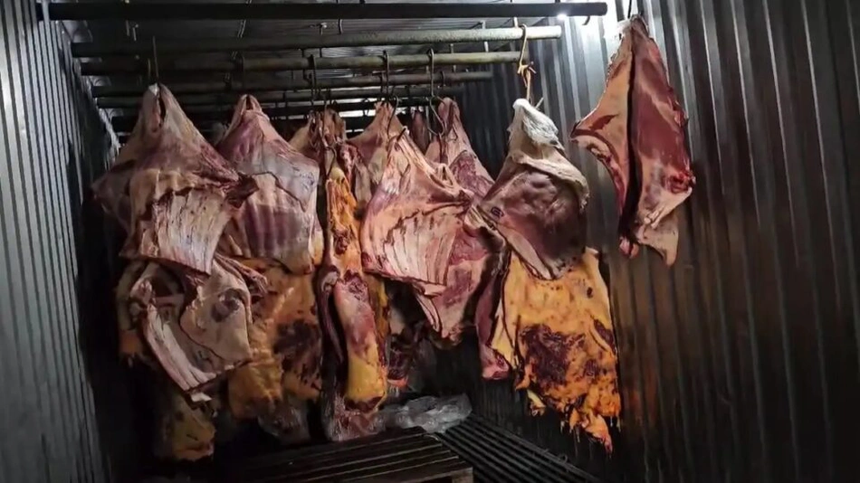 Quatro foram presos por venderem carne para ração animal maquiada e embalada para consumo humano.