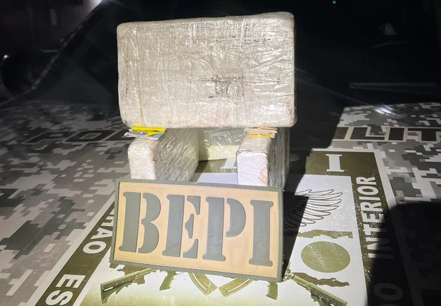 Cocaína apreendida pelo BEPI em Picos