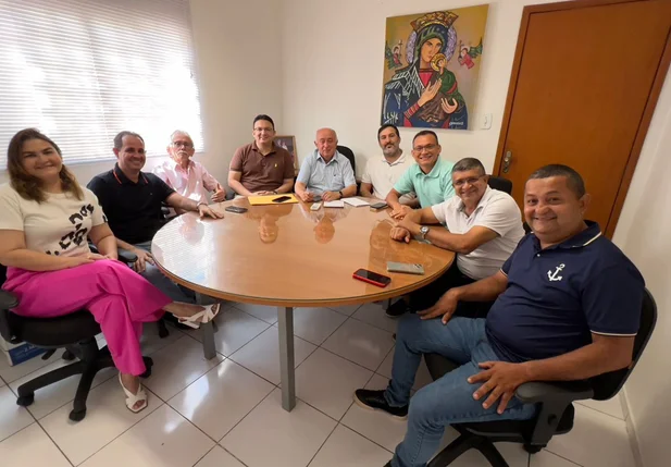 Comissão de suplentes de vereador de Teresina em visita ao deputado federal Júlio César, pré-candidato ao Senado