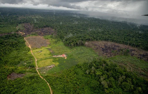 Desmatamento na Amazônia