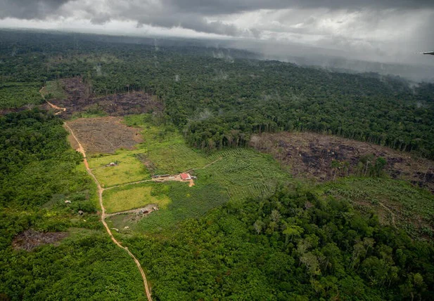 Desmatamento na Amazônia