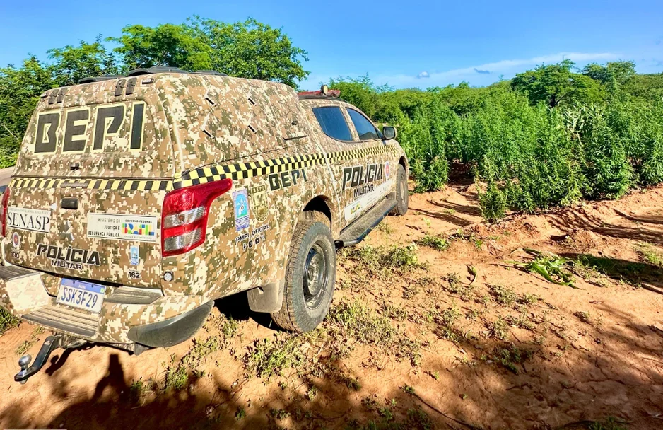 Equipe do BEPI no local onde foi encontrada a plantação de maconha