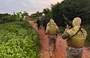 Equipes do BEPI e DRACO na Operação 189