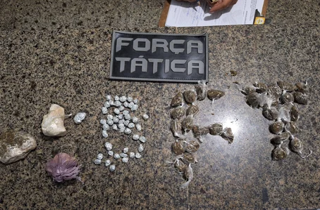 Foram encontradas porções de substâncias análogas a crack e maconha