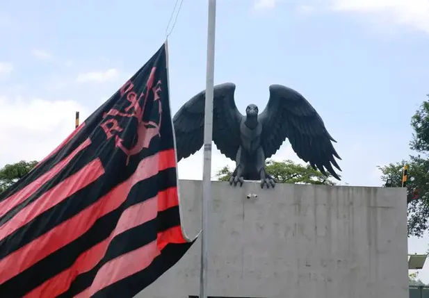 Ninho do Urubu, CT do Flamengo