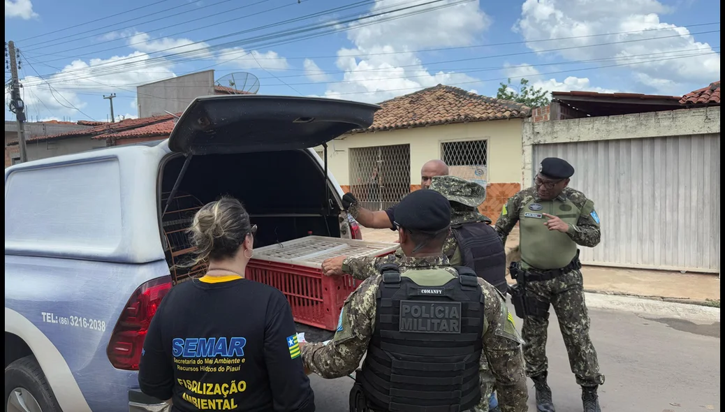 Operação realizada pela Semarh foi realizada com apoio das polícias Civil e Militar