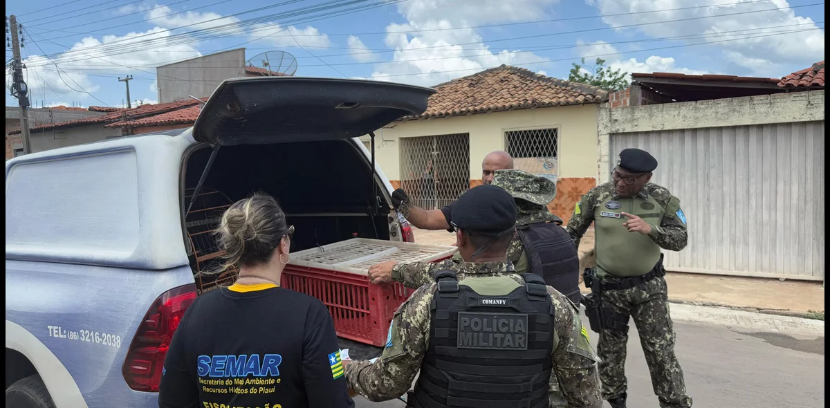 Operação realizada pela Semarh foi realizada com apoio das polícias Civil e Militar