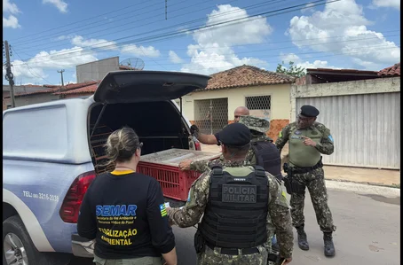 Operação realizada pela Semarh foi realizada com apoio das polícias Civil e Militar