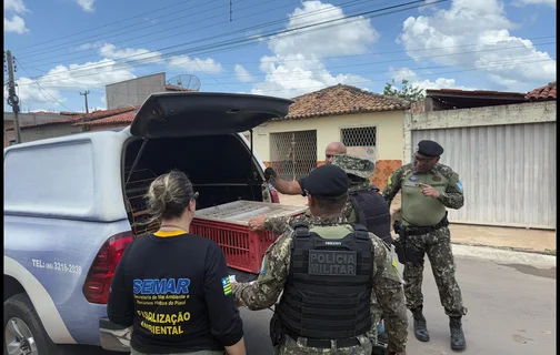 Operação realizada pela Semarh foi realizada com apoio das polícias Civil e Militar