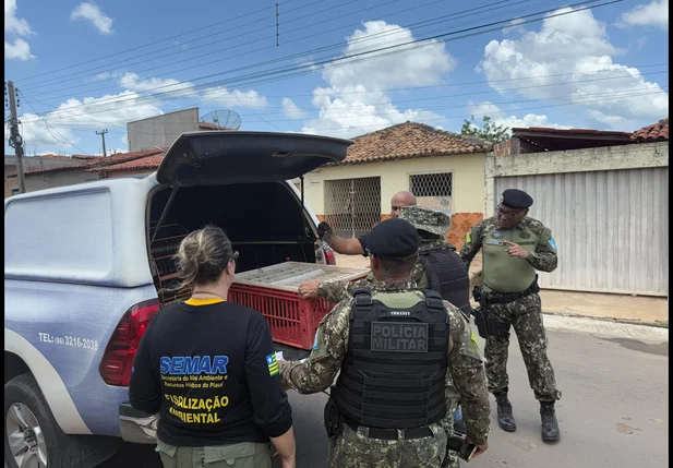 Operação realizada pela Semarh foi realizada com apoio das polícias Civil e Militar