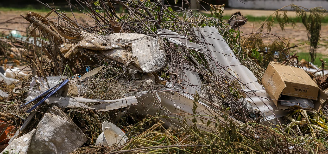 Papelão e galhos de árvores jogados no local