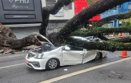 Chuva deixa 1 morto e 127 mil sem energia em São Paulo