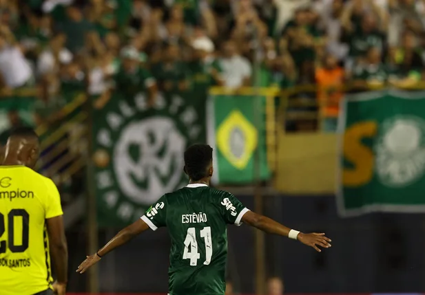 Estêvão marcou dois gols para o Palmeiras