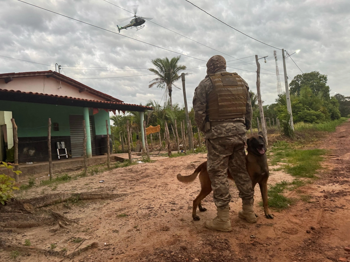 Operação do DRACO no município de Nazária