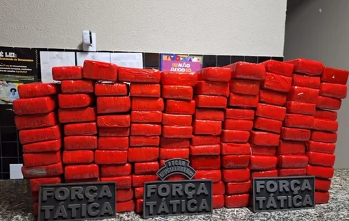 Polícia Militar apreendeu 293 tabletes de maconha