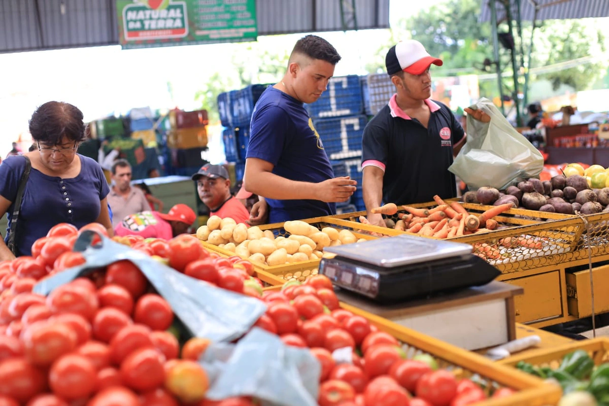 Procura por alimentos na Nova Ceasa em Teresina