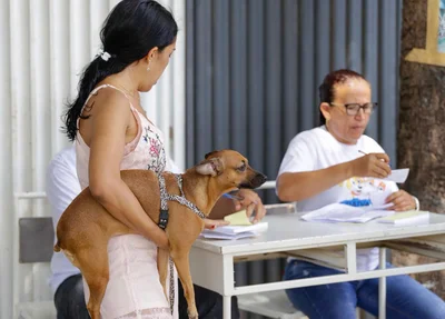 Cachorro sendo vacinado em Teresina