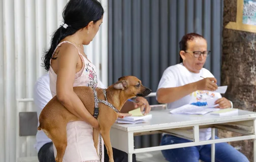 Cachorro sendo vacinado em Teresina