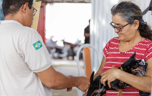 Vacinação contra raiva para cachorros e gatos