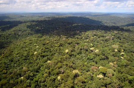 Floresta Nacional do Jamanxim, um dos principais alvos do desmatamento na Amazônia 