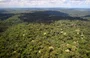Floresta Nacional do Jamanxim, um dos principais alvos do desmatamento na Amazônia 