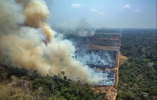 Incêndio na Amazônia, no estado de Rondônia