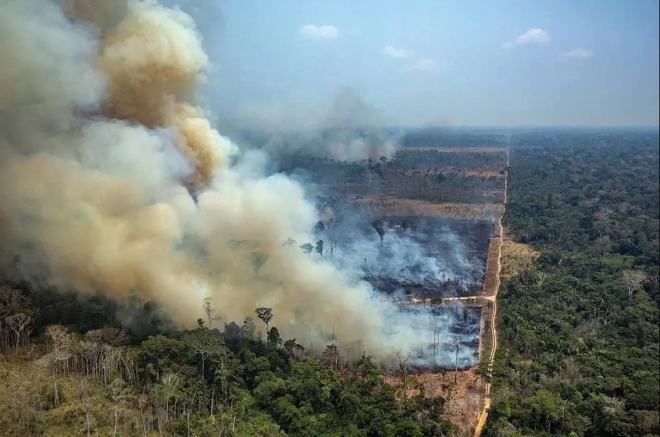 Incêndio na Amazônia, no estado de Rondônia