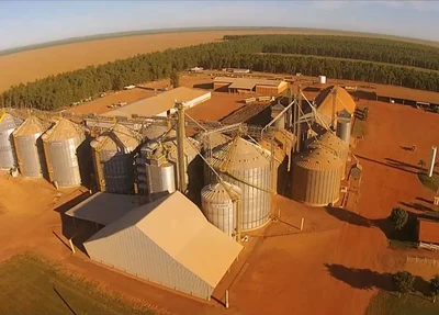 Produção de grãos no sul do Piauí