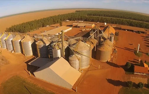 Produção de grãos no sul do Piauí