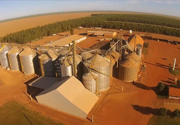 Produção de grãos no sul do Piauí