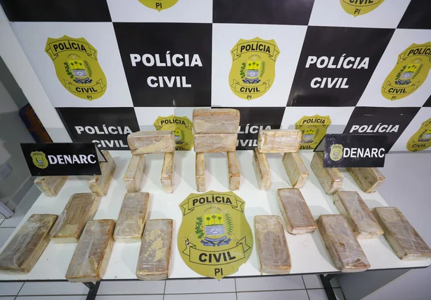 DENARC apreende 24 quilos de pasta base de cocaína em Teresina